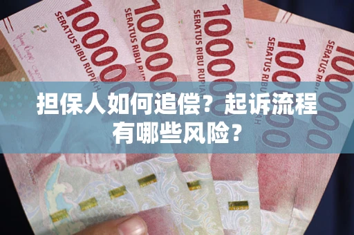 济南担保人如何追偿？起诉流程有哪些风险？