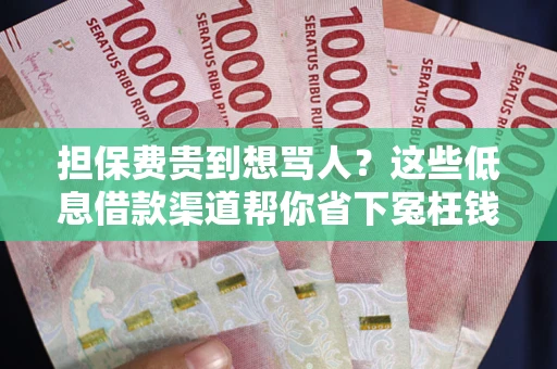 济南担保费贵到想骂人？这些低息借款渠道帮你省下冤枉钱