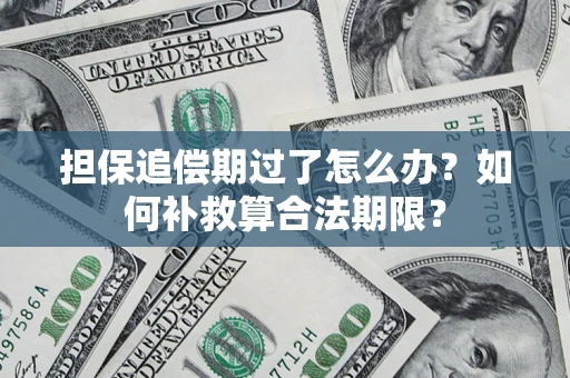济南担保追偿期过了怎么办？如何补救算合法期限？