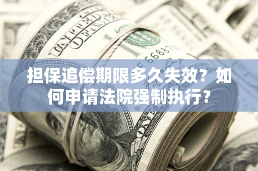 济南担保追偿期限多久失效？如何申请法院强制执行？