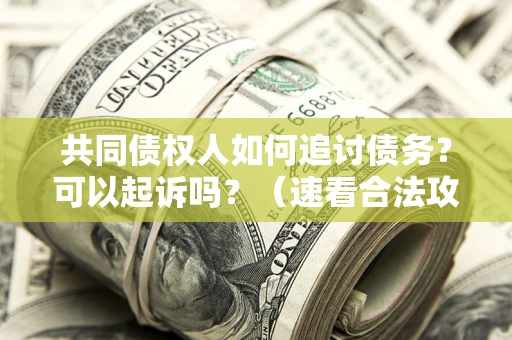济南共同债权人如何追讨债务？可以起诉吗？（速看合法攻略）